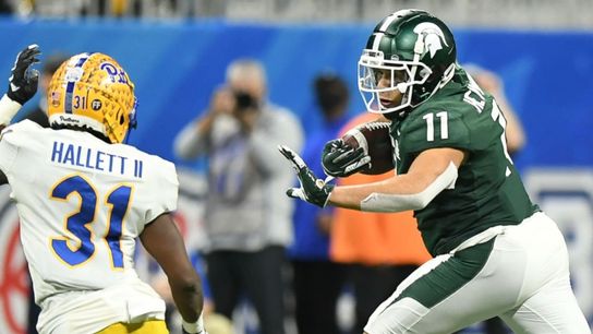 A fullback in the Steelers offense? It sure looks that way taken on the South Side (Steelers)